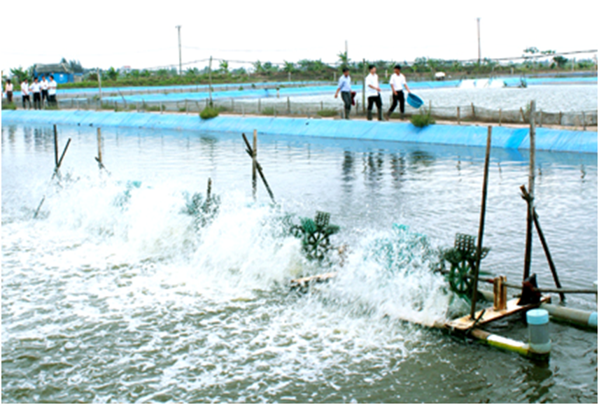 Ứng dụng công nghệ cao trong nuôi trồng thủy sản
